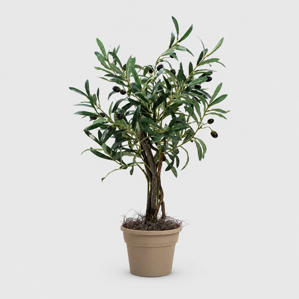 New Artificial Silk Products Arriving from Silk Plants Canada.