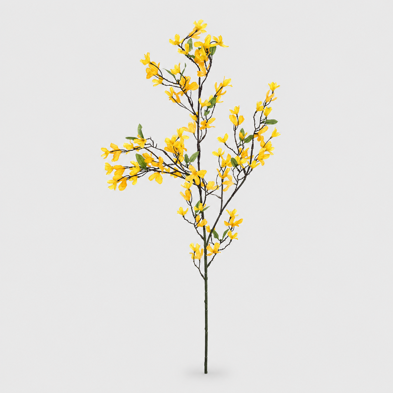 Ultimate Search Bestseller Collection.