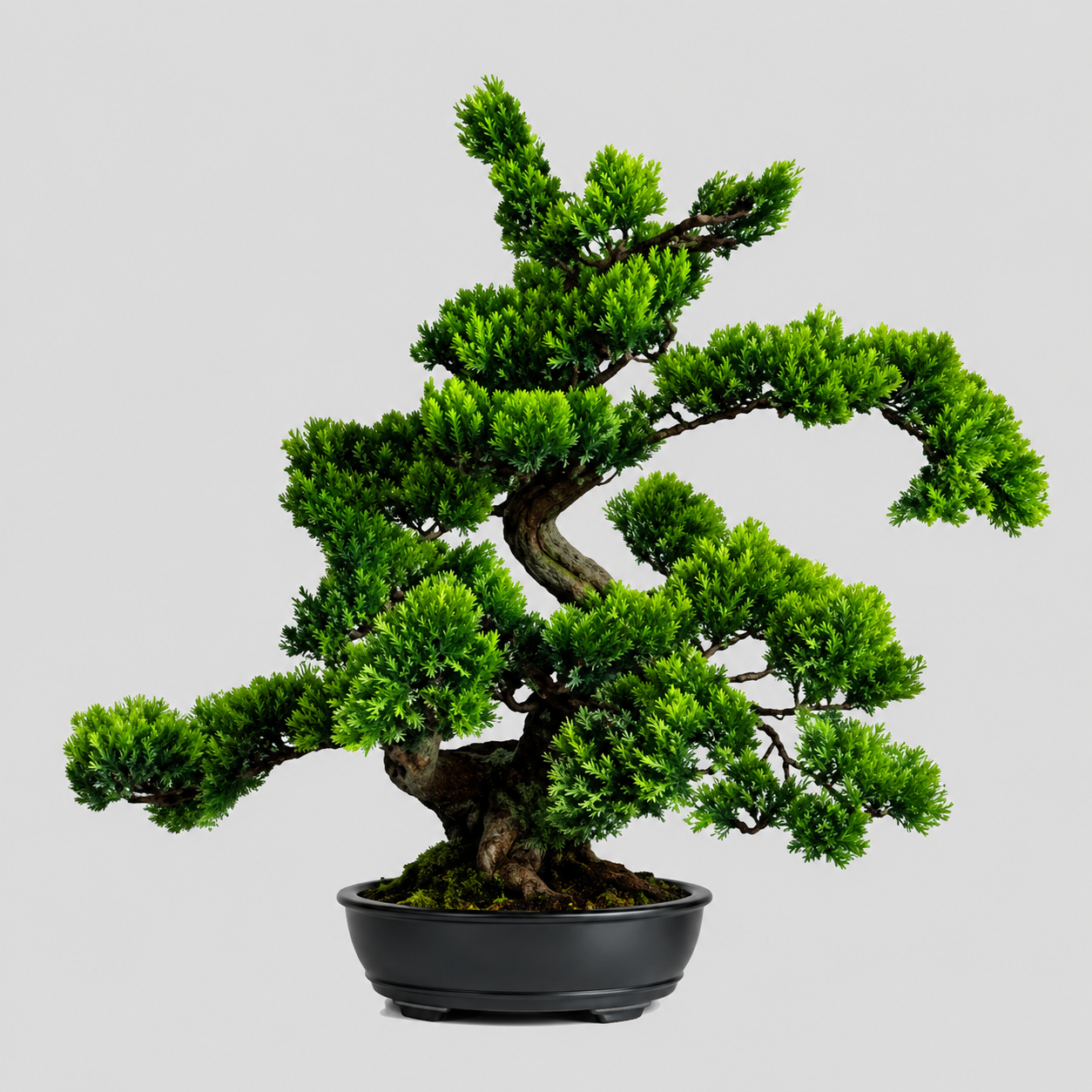 Artificial Bonsai.