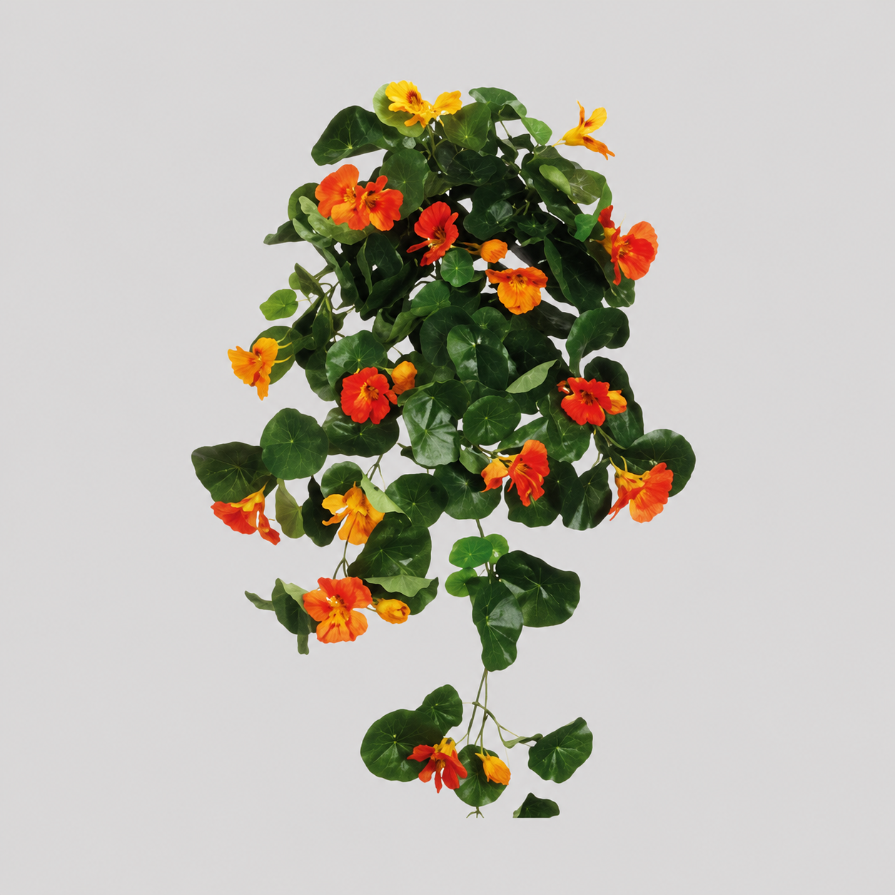 Artificial Silk Flowering Nasturtium Trailing Vine