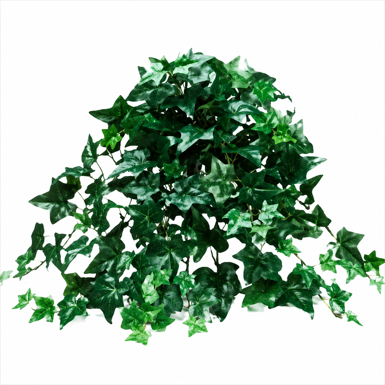 Artificial Ivies & Silk Ivies-Indoor/Outdoor.
