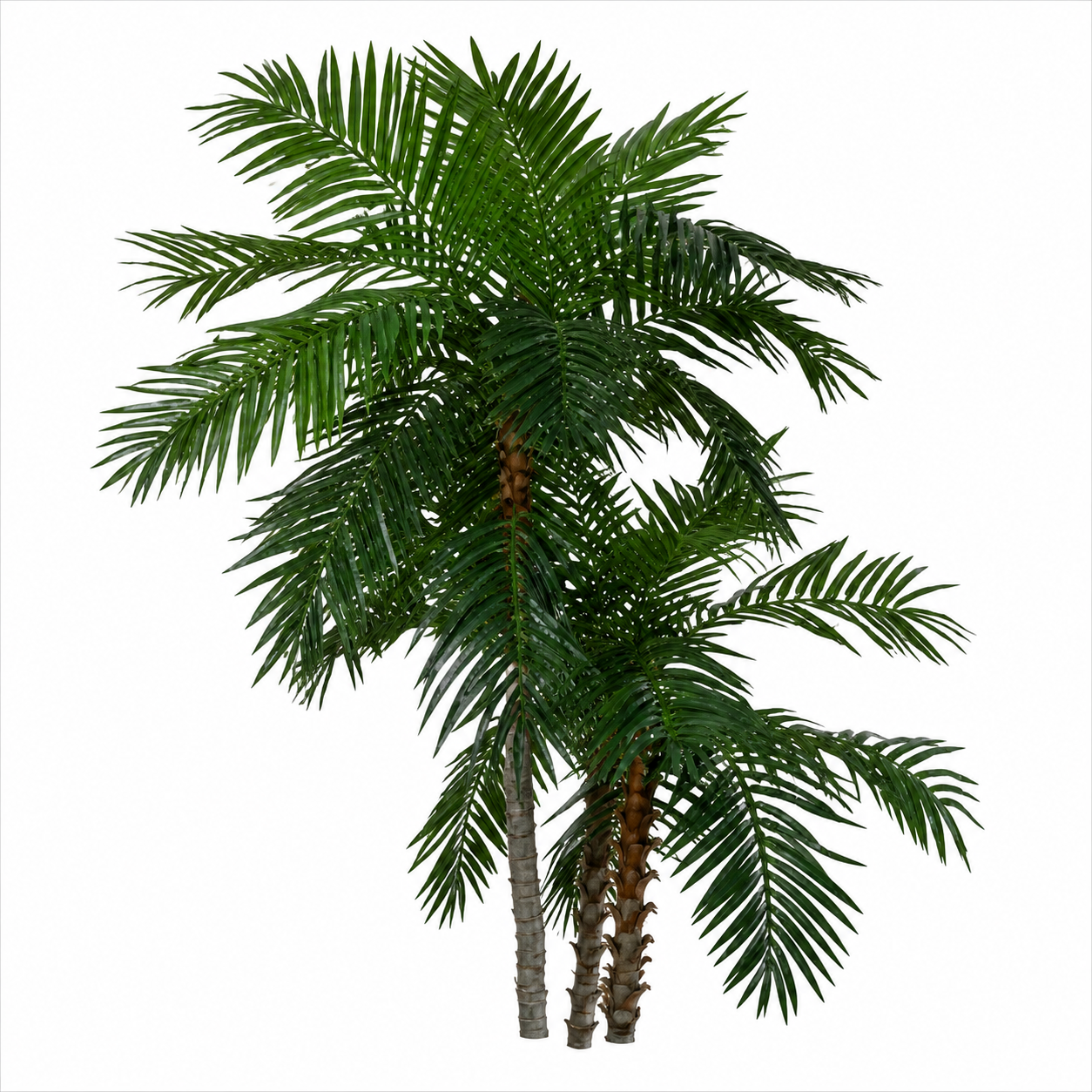 Artificial Palms & Silk Palms-Indoor/Outdoor.