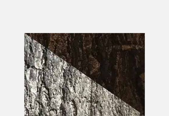 Artificial Fake Tree Bark used for Creating Artificial Fake Tree Bark