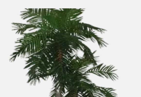 Artificial Palms & Silk Palms-Indoor/Outdoor.