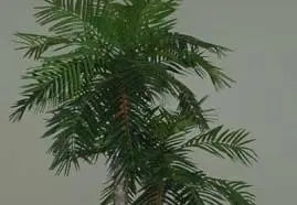 Artificial Palms &amp; Silk Palms-Indoor/Outdoor