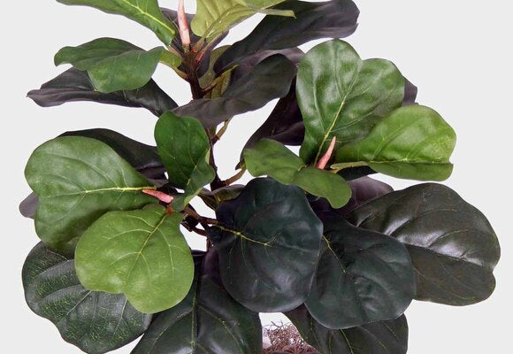 Artificial Plants & Silk Plants-Indoor/Outdoor.