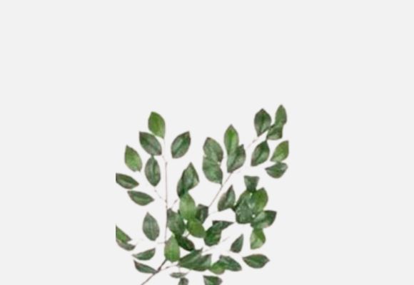 Artificial Silk Tree Branches for Home and Office Design.