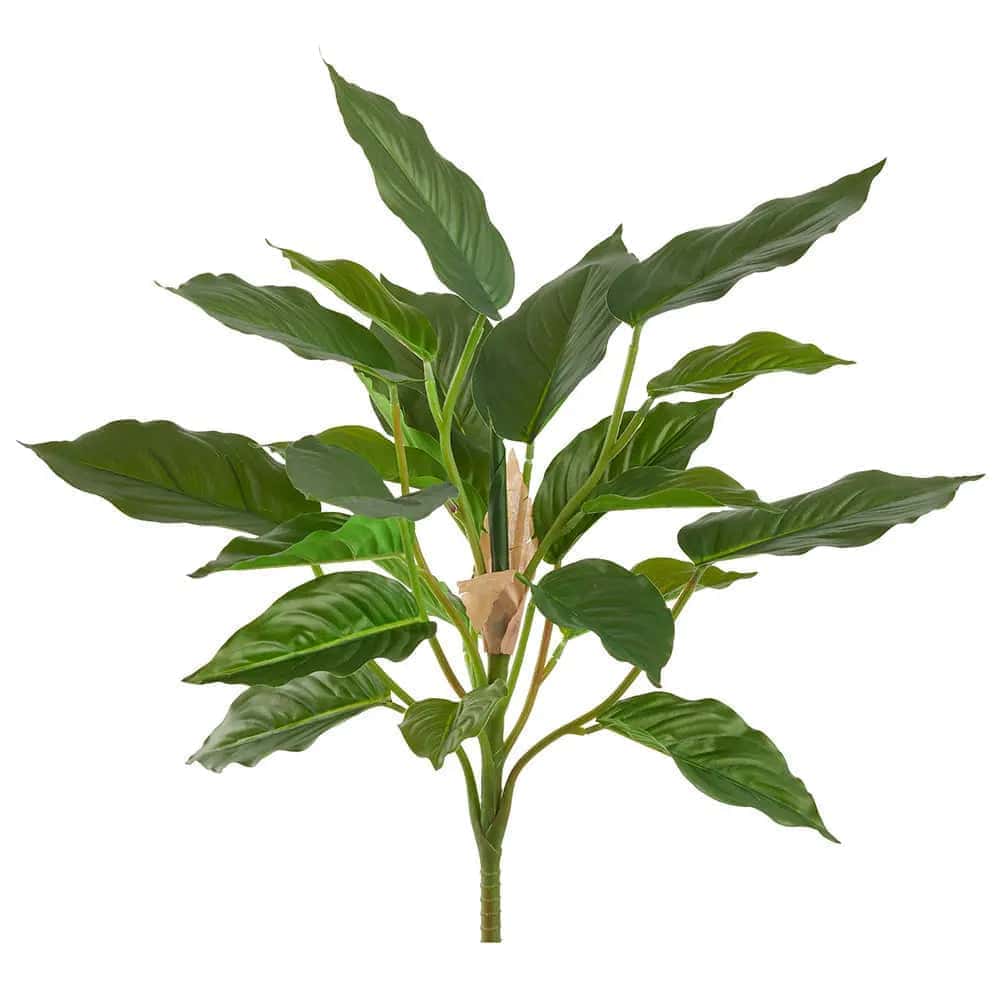 19 inch Artificial Silk Rohdea Japonica Bush 19 Silk Plants Canada