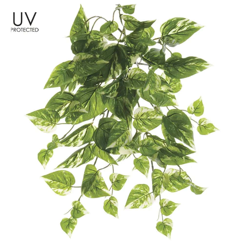 19" Artificial UV Protected Pothos Trailing Ivy Green Cream for Indoor and Outdoor Silk Plants Canada