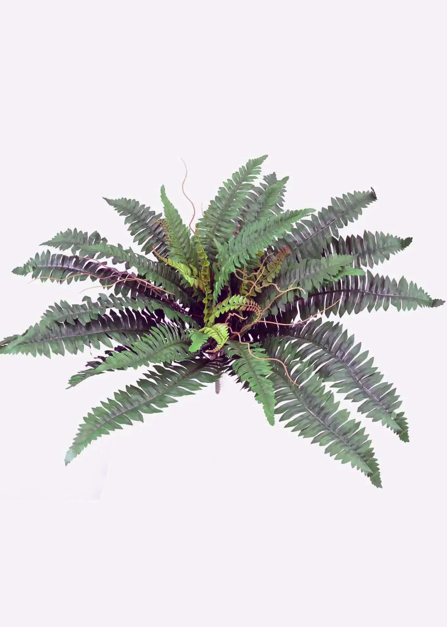 20 inch Artificial Silk Boston Fern with Tendrils for Home or Office 39 Silk Plants Canada