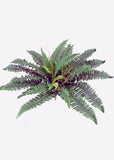 20 inch Artificial Silk Boston Fern with Tendrils for Home or Office