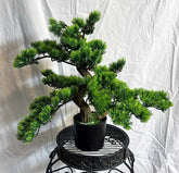 21 inch Artificial PVC Bonsai Pine in Black Container 129 Silk Plants Canada