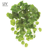 Artificial Geranium Trailing Ivy – 21 Inch UV Protected Variegated