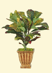 22 inch Croton Bush Real Touch for Home or Office 29 Silk Plants Canada