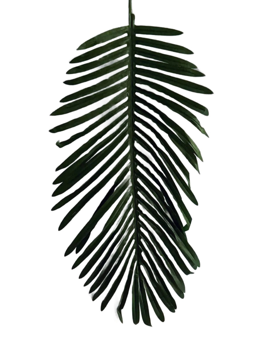 27 inch Artificial PVC Areca Palm Frond x 12 per box Silk Plants Canada