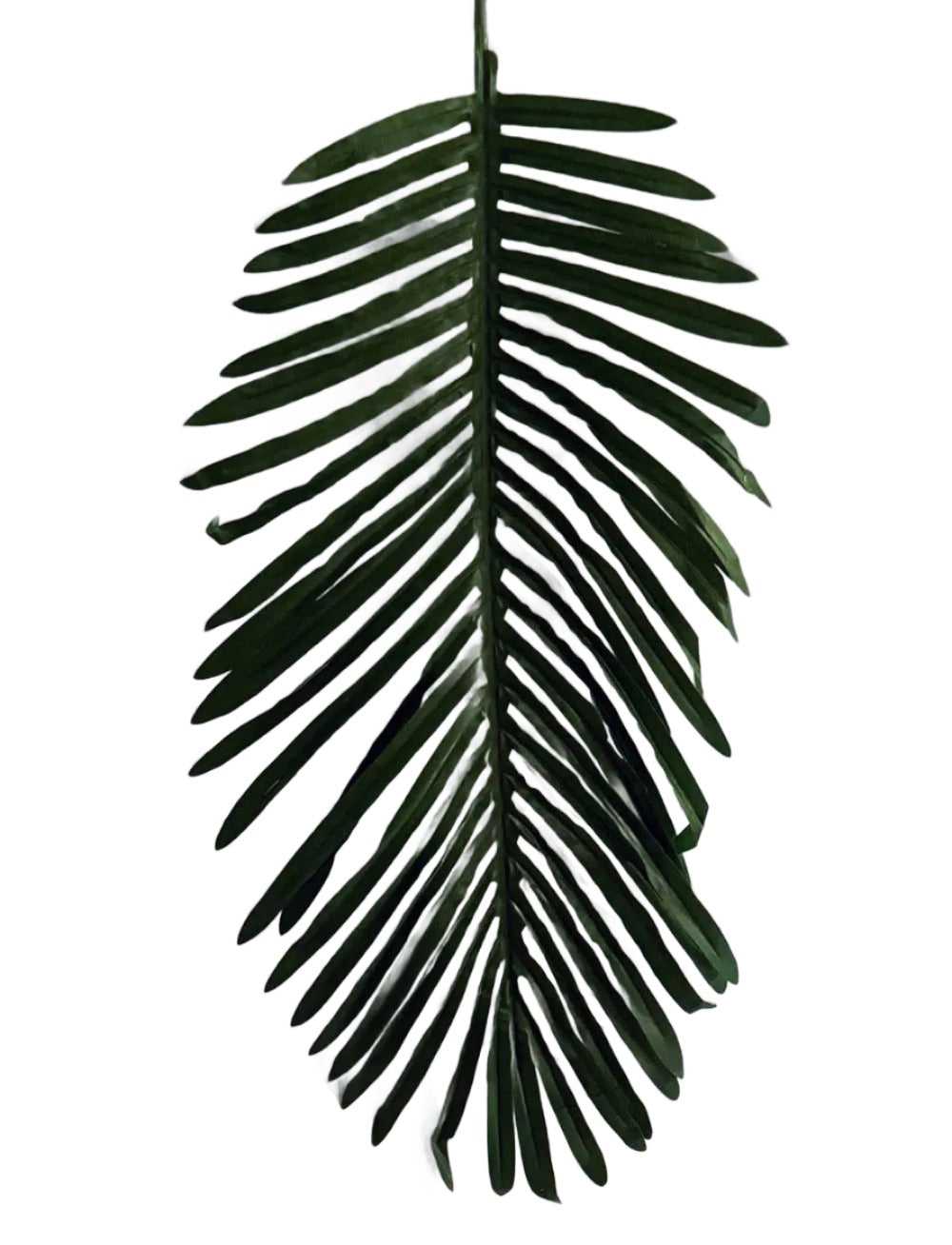 27 inch Artificial PVC Areca Palm Frond x 12 per box 59 Silk Plants Canada