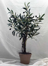 28 inch Artificial Mini Olive Tree w Black and Green Olives 89 Silk Plants Canada