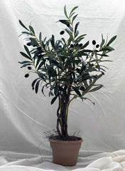 28 inch Artificial Mini Olive Tree w Black and Green Olives 89 Silk Plants Canada