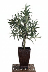 Artificial Olive Tree in Decorative Copper Container – 28 Inch