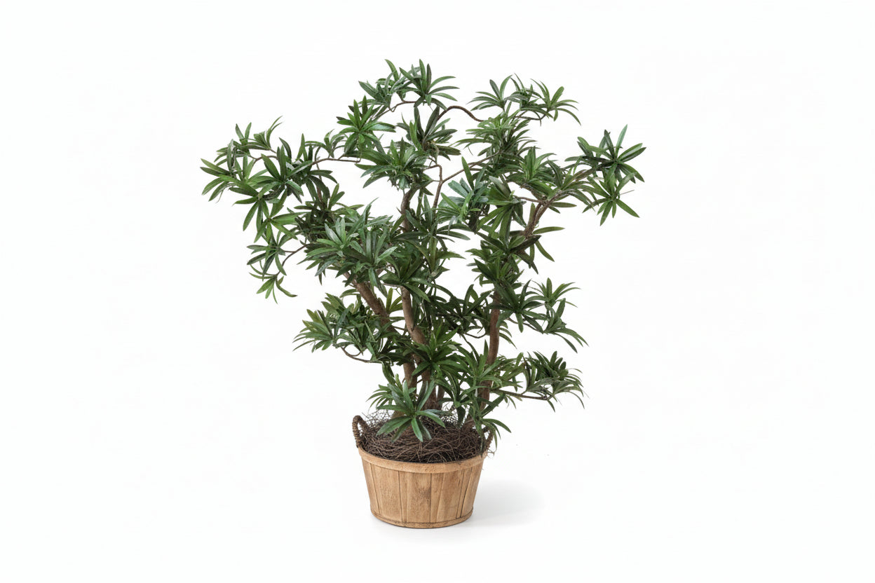 28 inch artificial silk pittosporum plant on natural wood