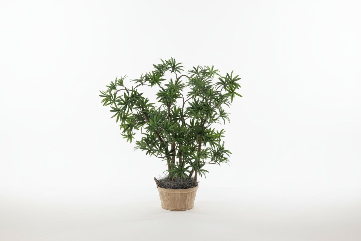28 inch artificial silk pittosporum plant on natural wood topical view
