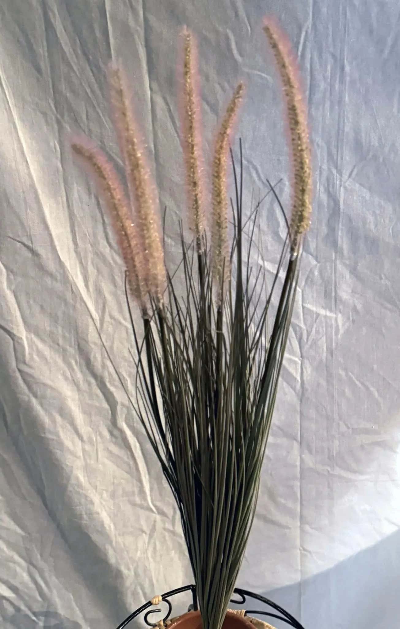 Cattail PVC Bush 31.5 Inch x5 Blooms