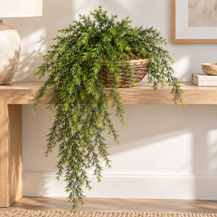 35 Inch Artificial PVC Asparagus Sprengeri Trailing Vine styled in 12 Inch Wicker Basket—basket and custom potting sold separately