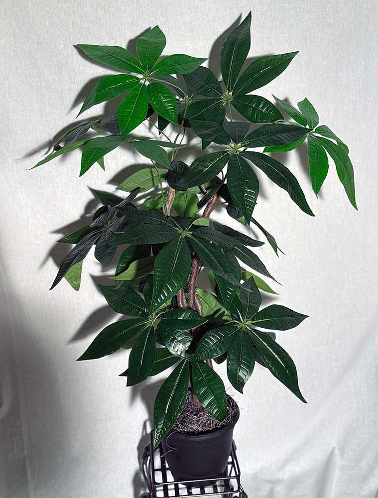 Artificial Money Tree Pachira on Natural Wood – 3 Foot Lifelike Silk Plant