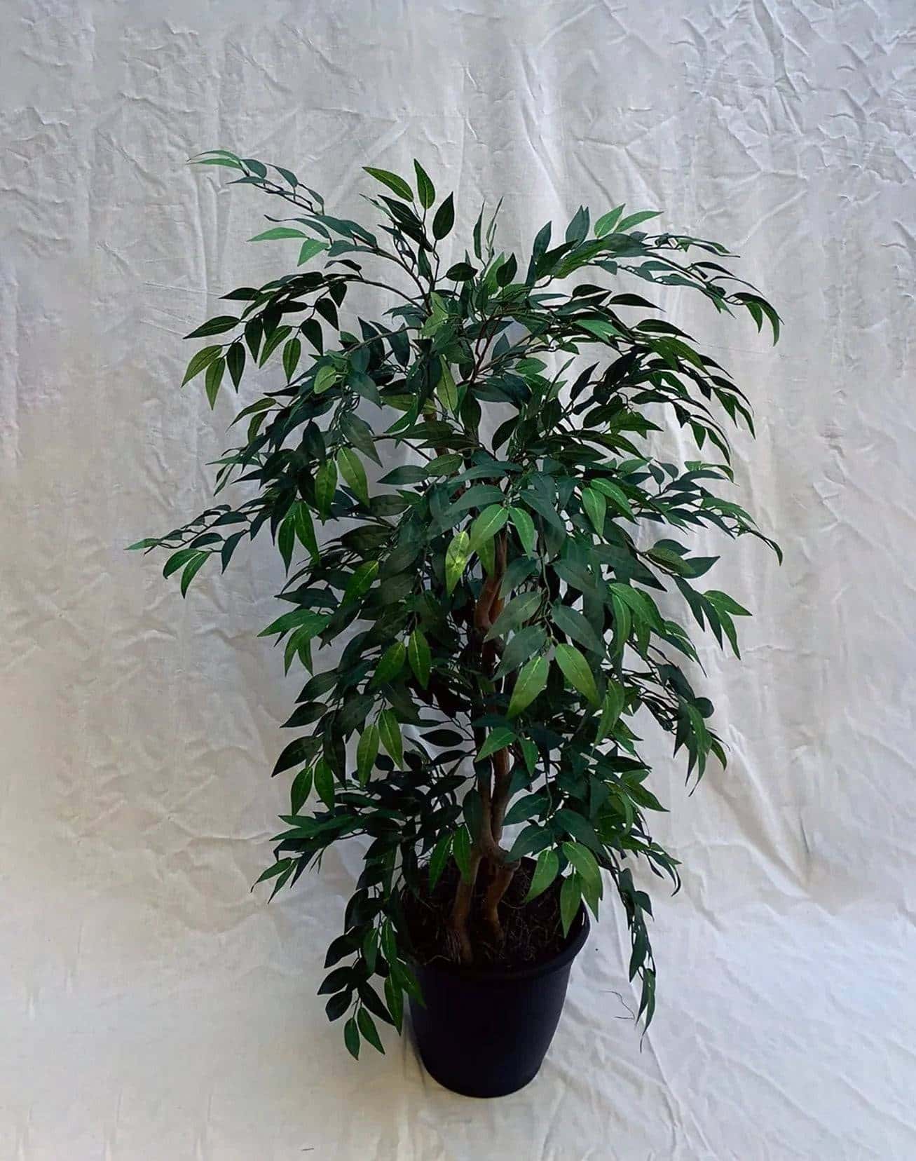 4 Foot Artificial Silk Smilax Tree Custom Made on Natural Wood