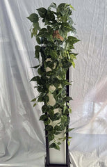 48 inch Artificial Silk Pothos Golden Ivy Silk Plants Canada