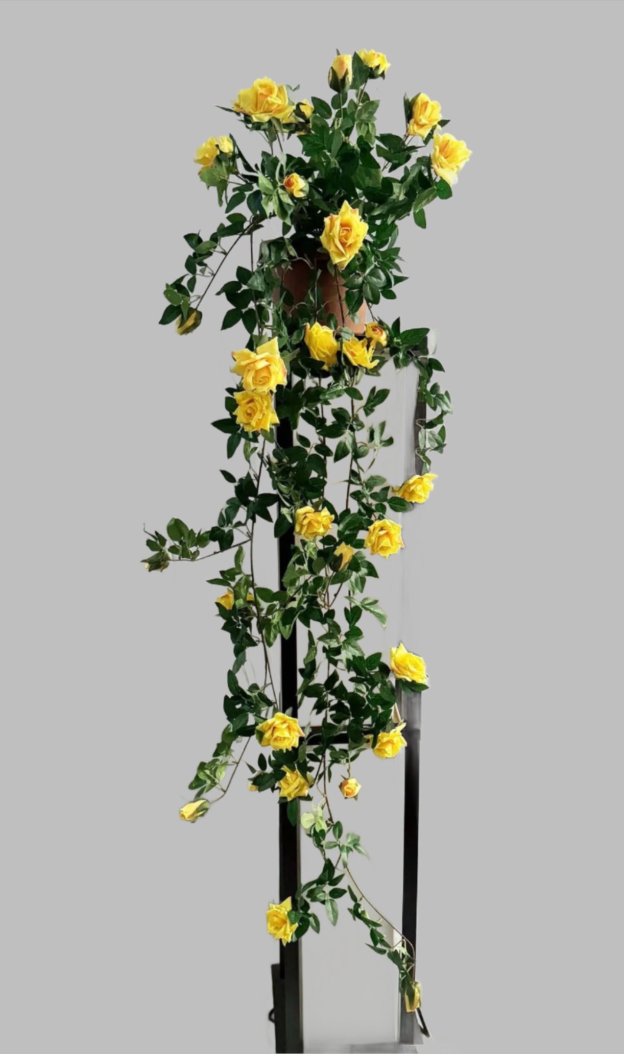 48 inch Artificial yellow silk rose vine hanging plant for home or office.