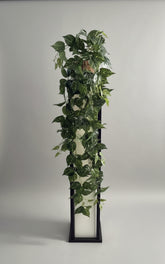 Place the 48 inch Artificial Silk Pothos Golden Ivy trailing