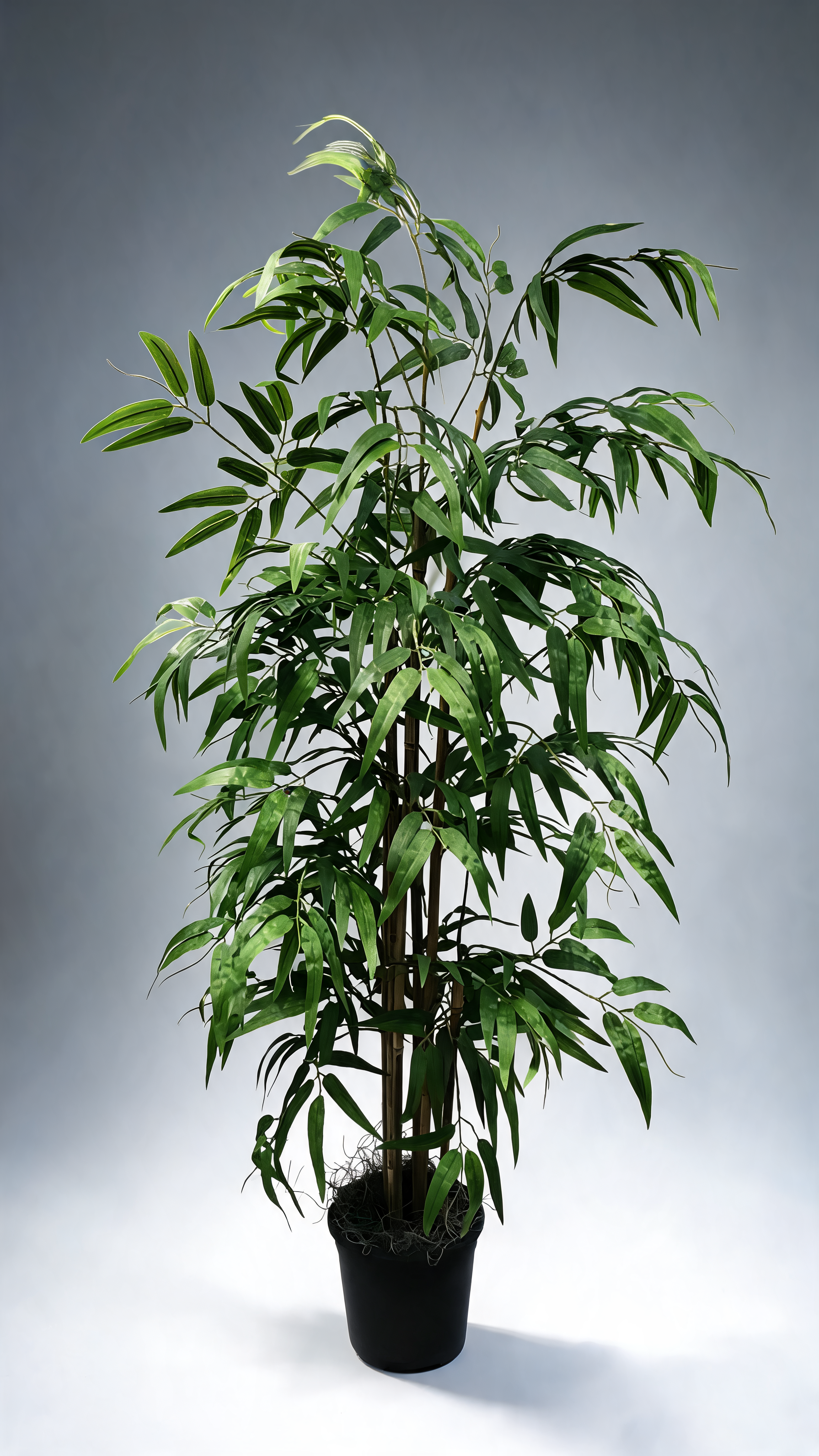 4 Foot Artificial Silk Bamboo Palm Tree Custom Made on Natural Wood in neutral background
