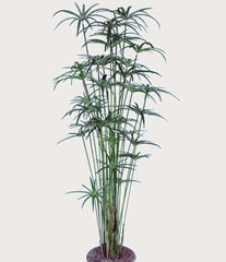 4 Foot Artificial Silk Cyperus Papyrus Green