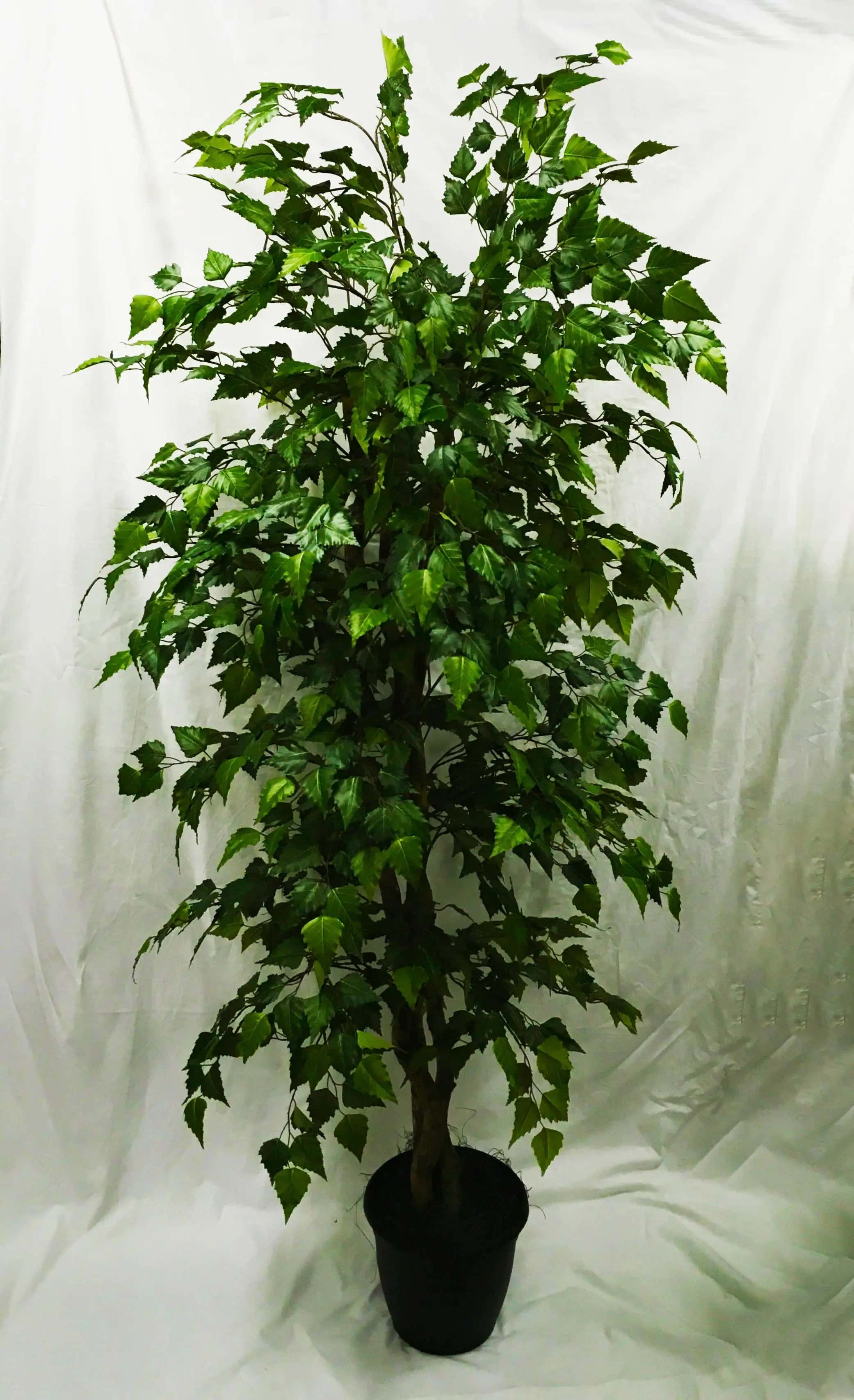 5 Foot Artificial Silk Silver BirchTree Custom Made on Natural Wood