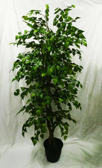 5 Foot Artificial Silk Silver BirchTree Custom Made on Natural Wood