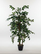 54 inch Artificial Silk Camellia Tree Custom Made on Natural Wood for Home or Office