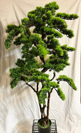 57 inch Artificial PVC Bonsai Pine in Black Container - Silk Plants Canada