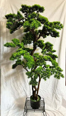 57 inch Artificial PVC Bonsai Pine in Black Container - Silk Plants Canada