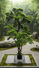 57 inch Artificial PVC Bonsai Pine in Black Container