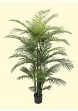 7 Foot Artificial Silk Areca Palm Tree x 8