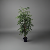 6 foot artificial fake bamoo palm tree in a netural background