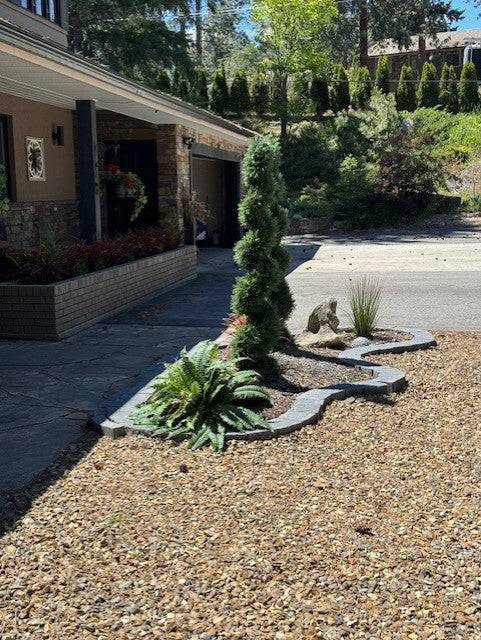 6 Foot Artificial Spiral Cedar with Boston Fern Silk Plants Canada