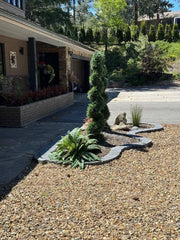 6 Foot Artificial Spiral Cedar with Boston Fern Silk Plants Canada