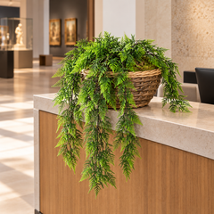 28 inch Artificial PVC Pinus or Plumosa Trailing Bush Vine styled in a museum visitor-services counter with exhibition hallway softly visible behind. Styling container and room accessories are not included.