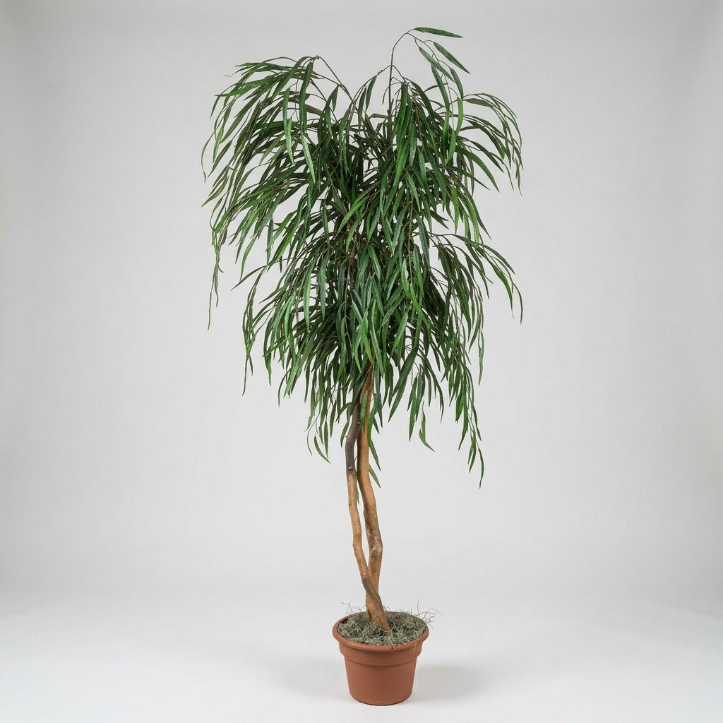 72 Inch Artificial Silk Weeping Willow Tree on Natural Wood