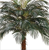 8 Foot Artificial Silk Phoenix Palm Tree for Indoor and Outdoor Close Up on Head - Silk Plants Canada