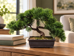 9 inch artificial PVC cedar bonsai in its dark rectangular container on a home den console