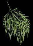 Artificial Silk Weeping Willow Branch Deluxe
