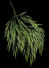 Artificial Silk Weeping Willow Branch Deluxe (Set of 12)